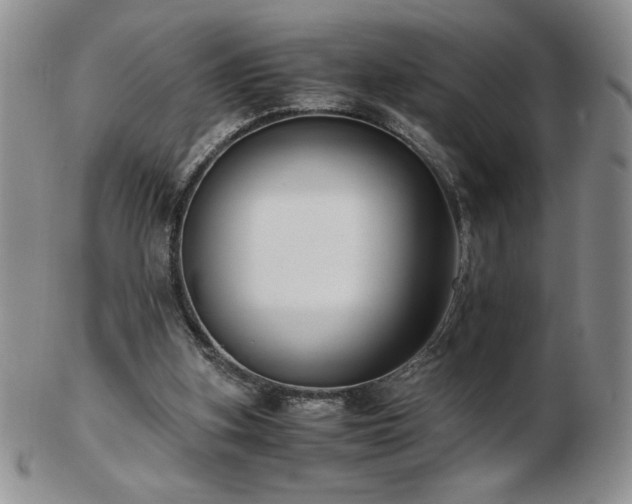 X0000103130155200808221201
