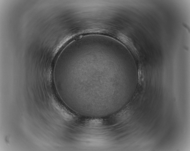 X0000103130156200808221201