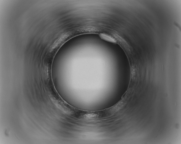 X0000103130158200808221201