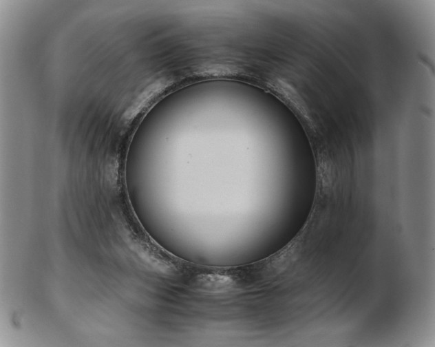 X0000103130159200808221201