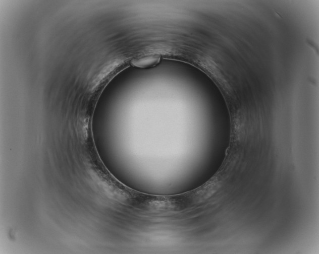 X0000103130160200808221201