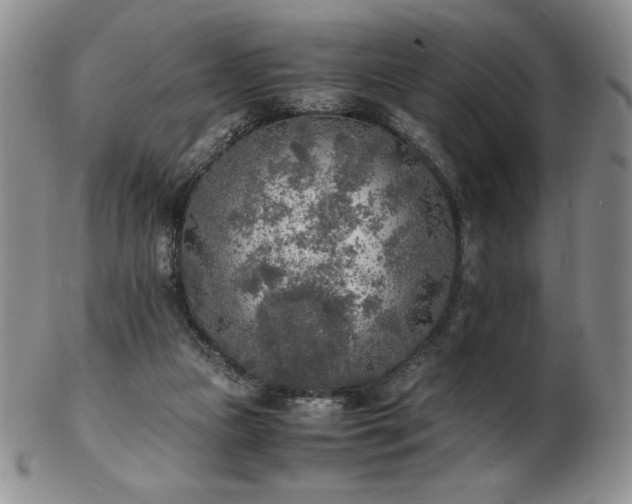 X0000103130161200808221201
