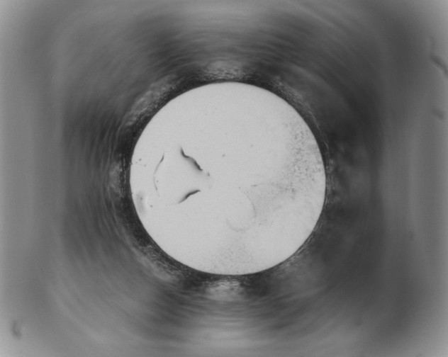 X0000103130162200808221202