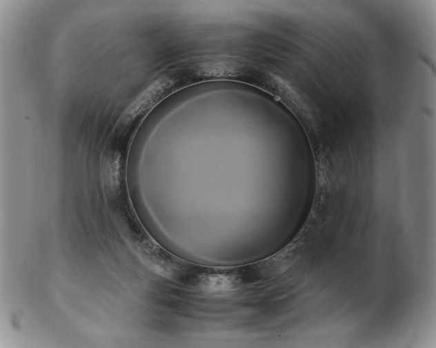 X0000103130163200808221202