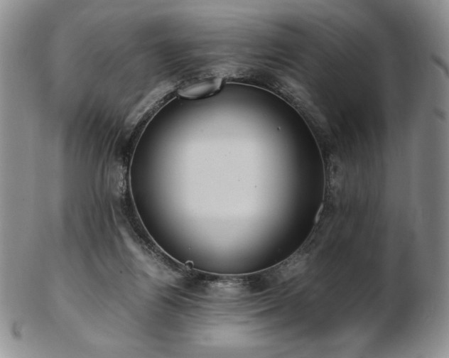 X0000103130164200808221202