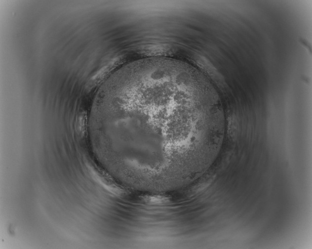 X0000103130165200808221202