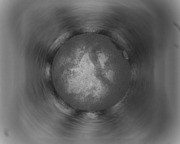 X0000103130166200808221202