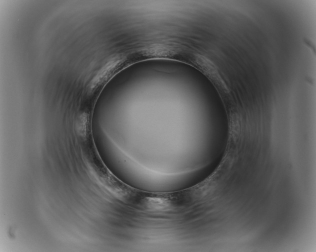 X0000103130167200808221202