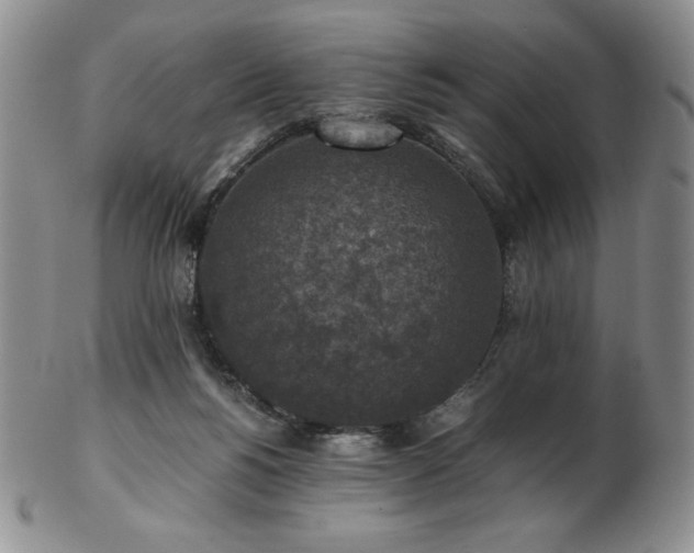 X0000103130168200808221202