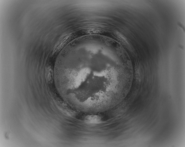 X0000103130169200808221202