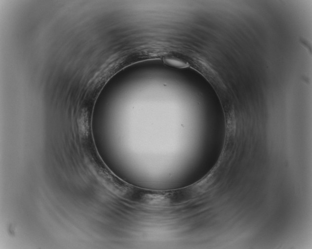 X0000103130170200808221202