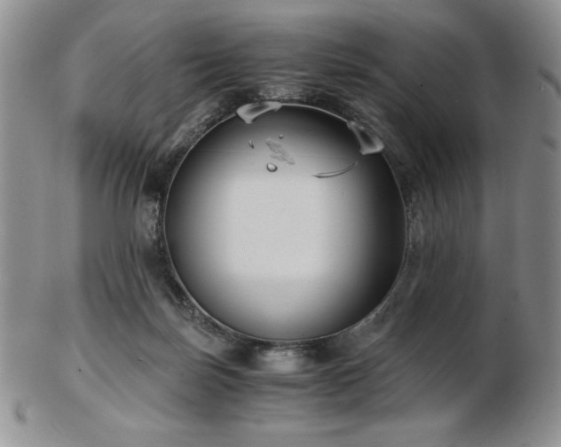 X0000103130171200808221202