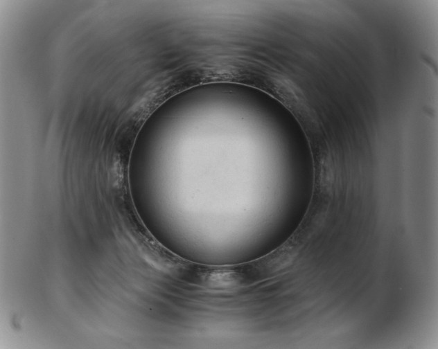 X0000103130173200808221202