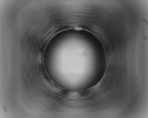 X0000103130174200808221202