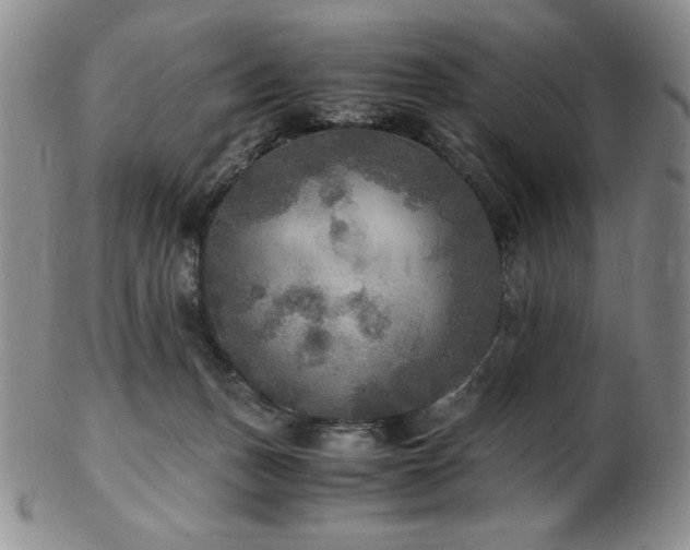 X0000103130175200808221202