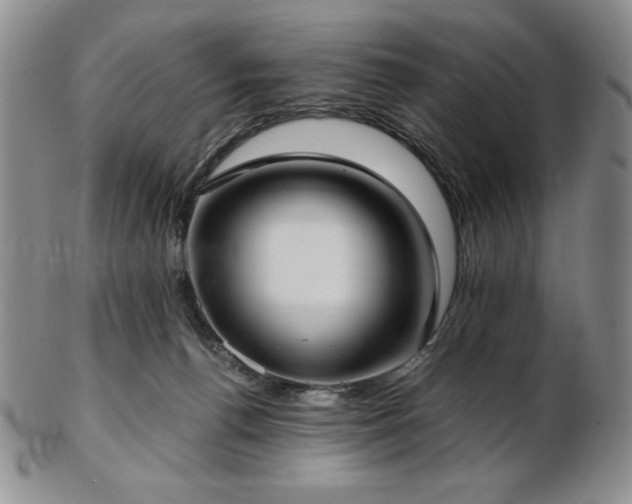 X0000103130176200808221202