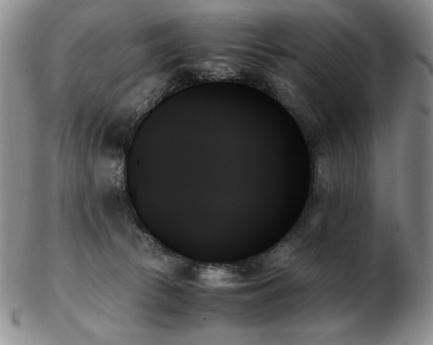 X0000103130177200808221202