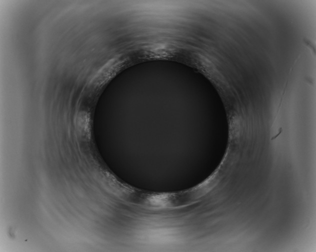 X0000103130178200808221202