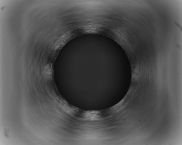 X0000103130179200808221202