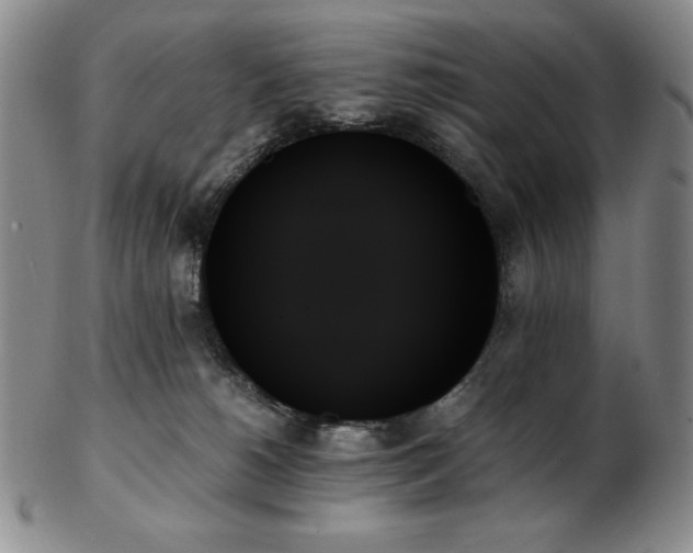 X0000103130180200808221202