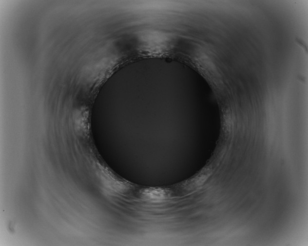 X0000103130181200808221202