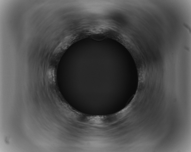 X0000103130182200808221202