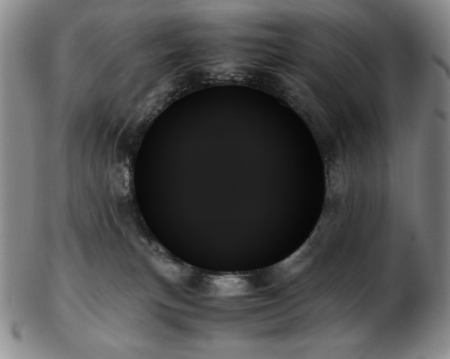 X0000103130183200808221202