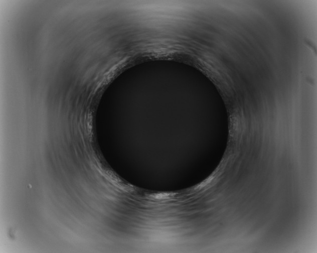 X0000103130184200808221202