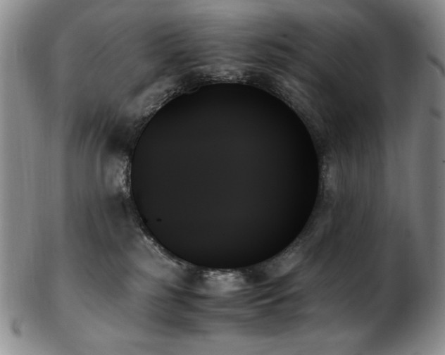 X0000103130185200808221202