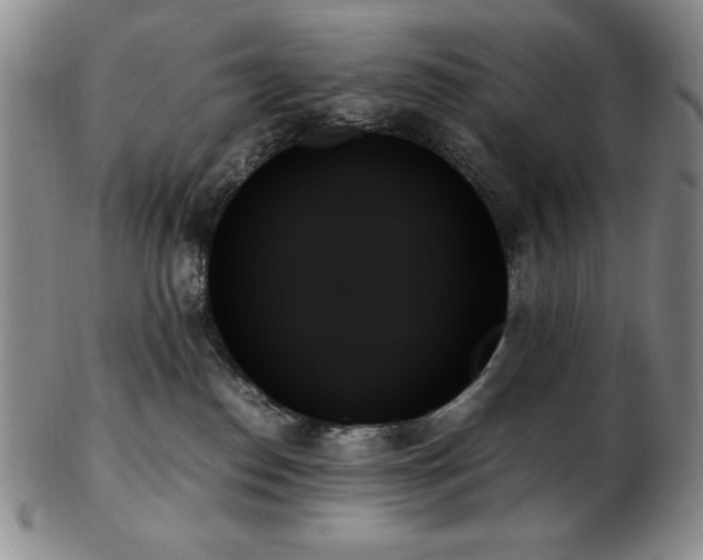 X0000103130186200808221202