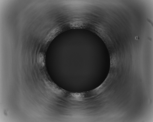 X0000103130187200808221202