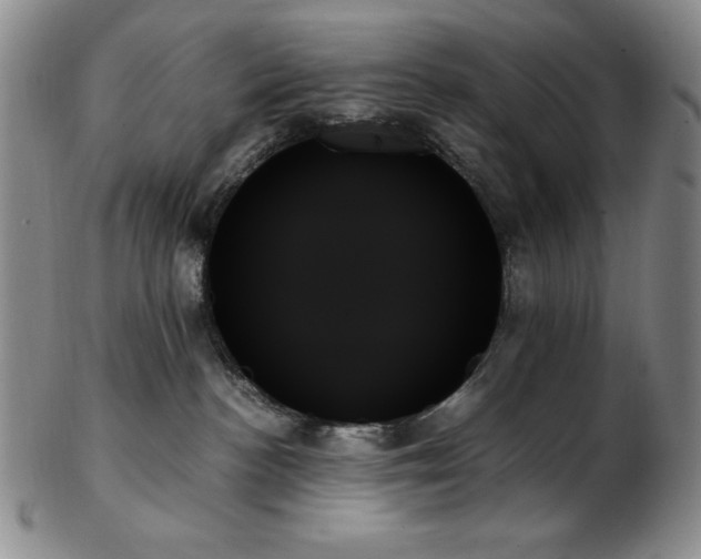 X0000103130188200808221202