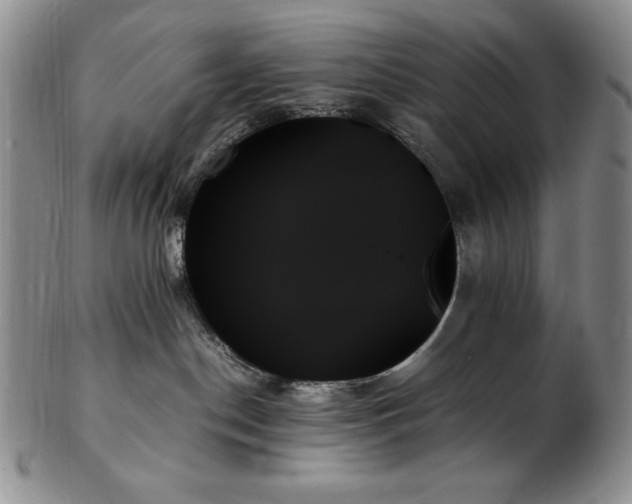 X0000103130190200808221202