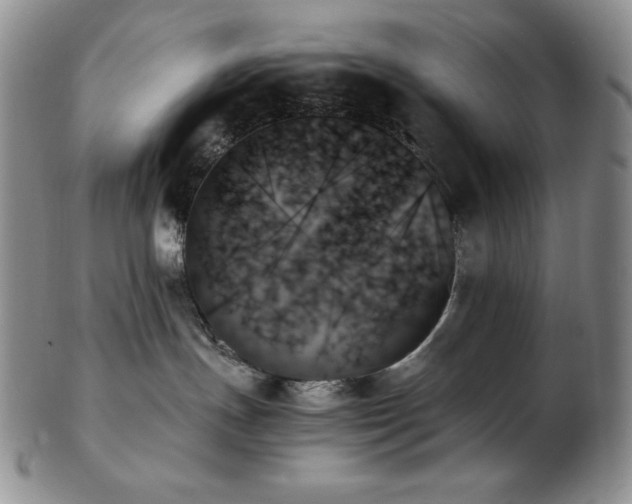 X0000103130191200808221202