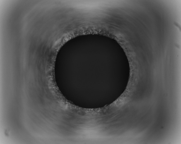 X0000103130192200808221202