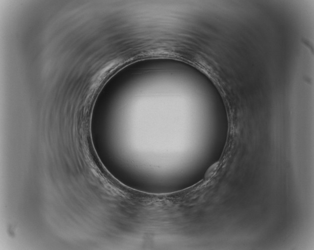 X0000103130193200808221201
