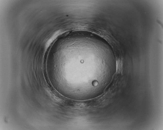 X0000103130195200808221201