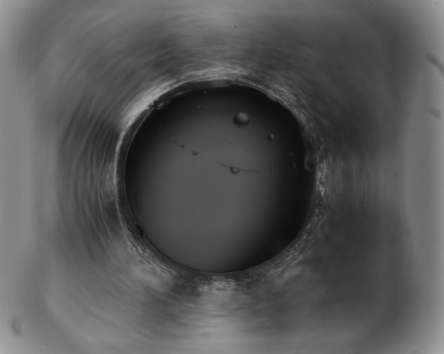 X0000103130196200808221201