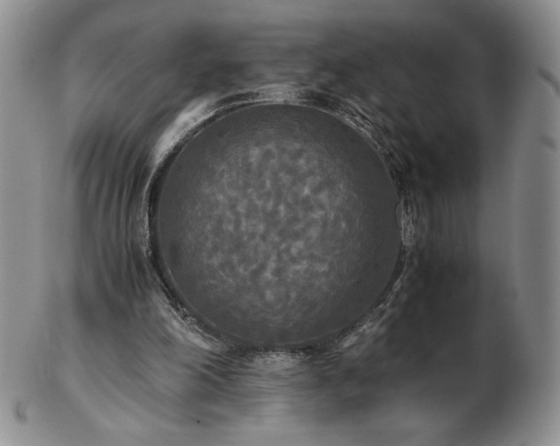 X0000103130198200808221201
