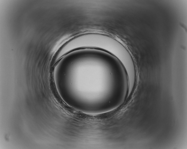 X0000103130199200808221201