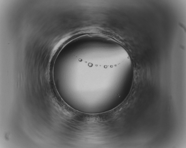 X0000103130200200808221201