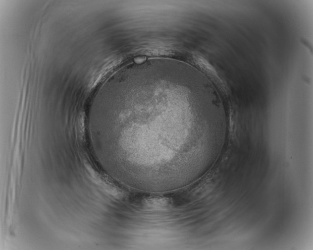 X0000103130202200808221201