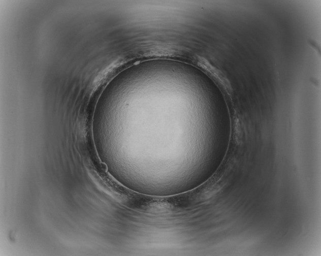 X0000103130203200808221201
