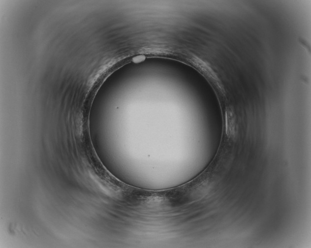 X0000103130204200808221201