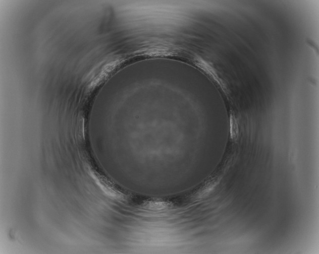 X0000103130205200808221201
