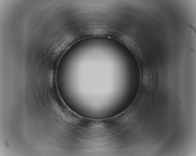 X0000103130206200808221201
