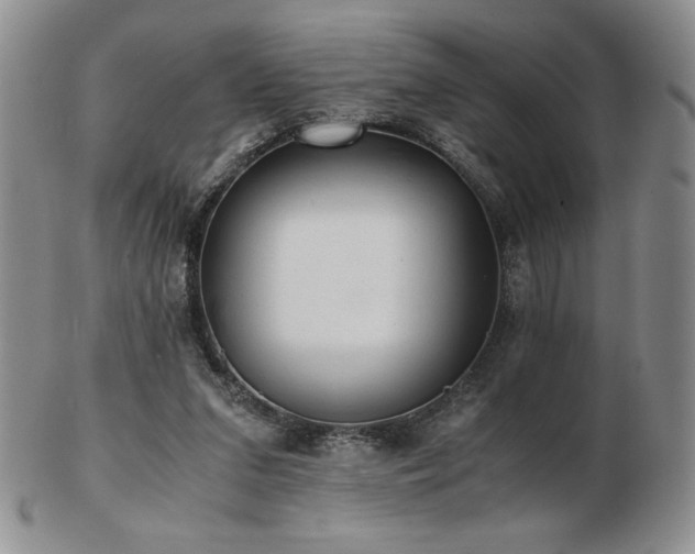 X0000103130207200808221201