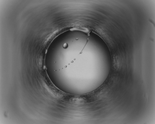 X0000103130208200808221201