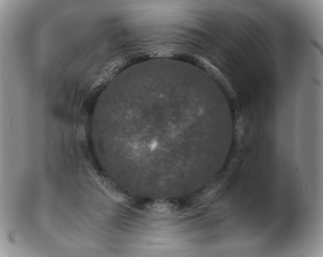 X0000103130209200808221201
