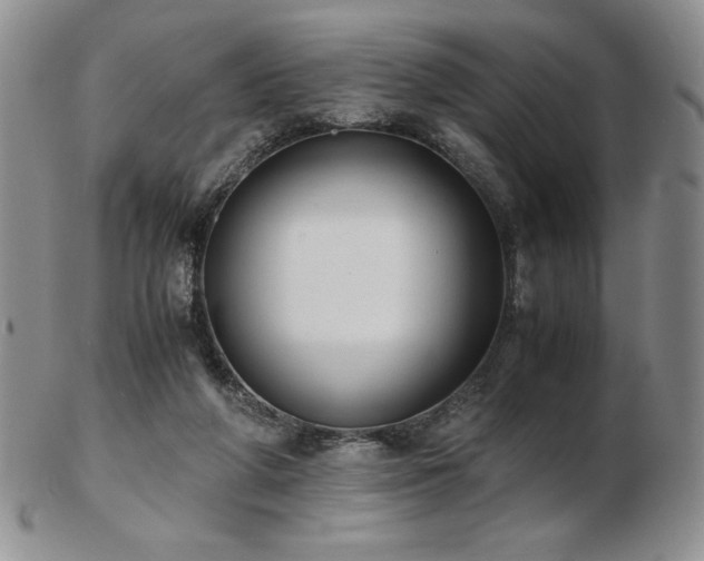 X0000103130210200808221201